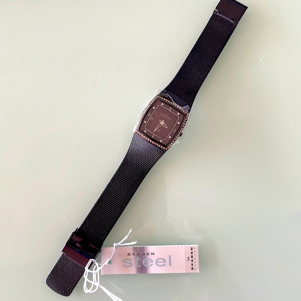 NWT Skagen Womens Titanium Watch
